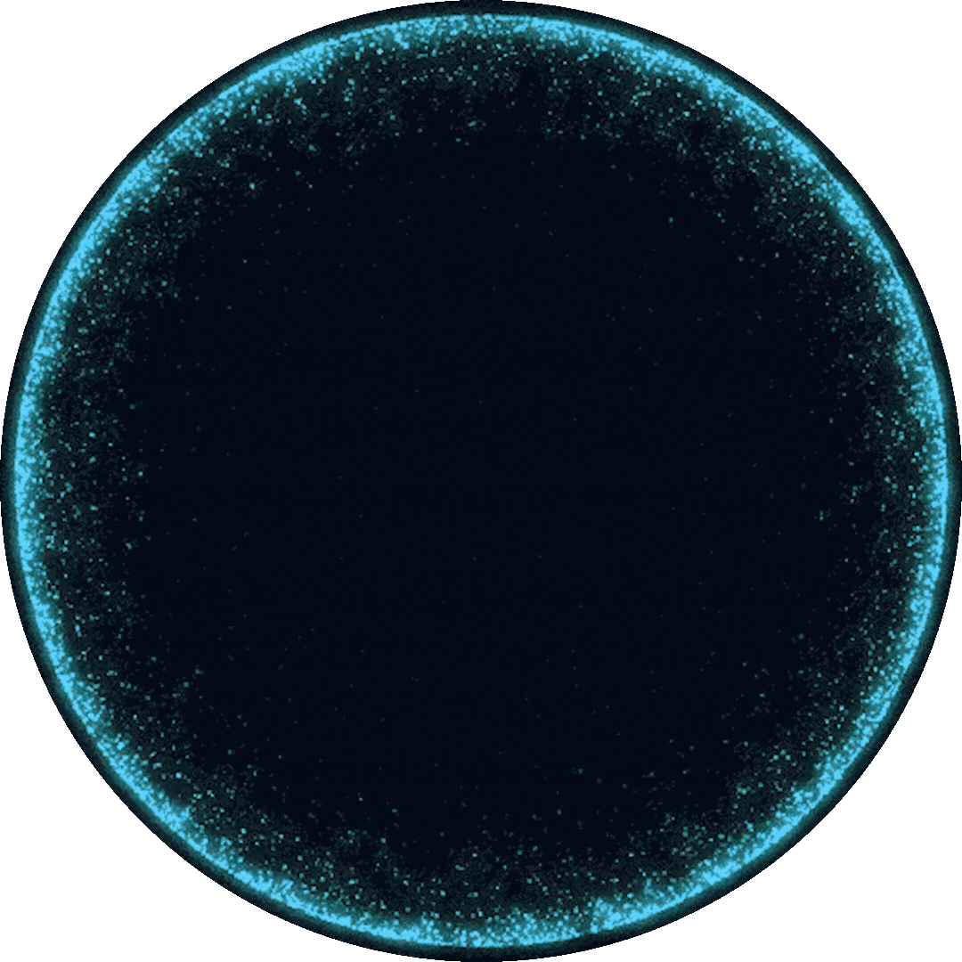 Frame1
